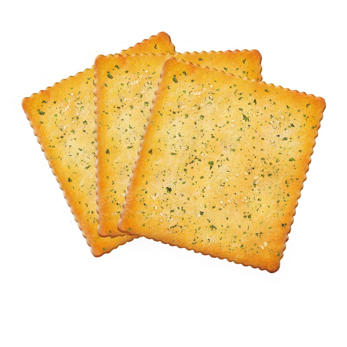 ����1MM��ʽ����ζ��������