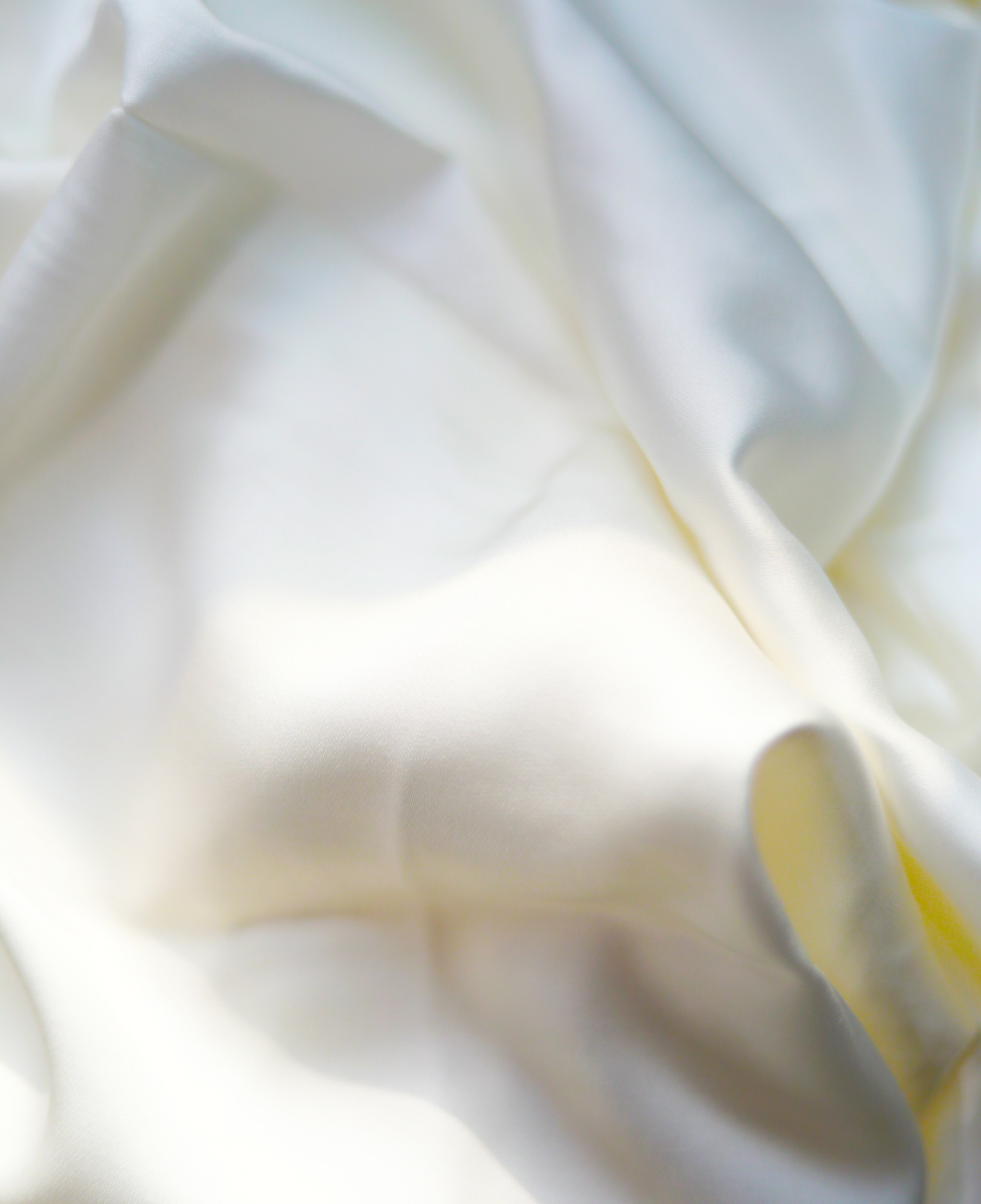 贝斯特 - 全球最奢华的游戏平台