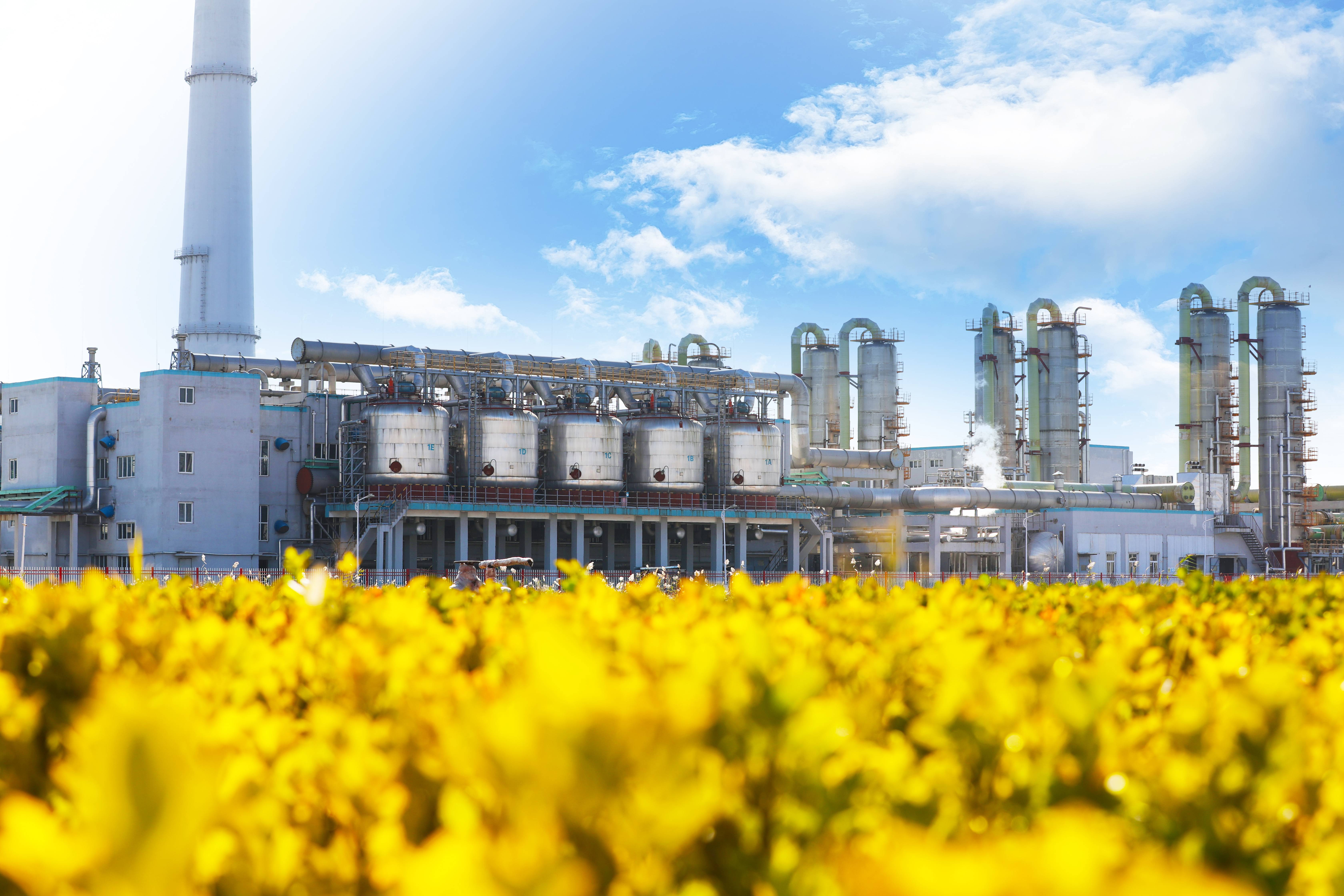 贝斯特 - 全球最奢华的游戏平台